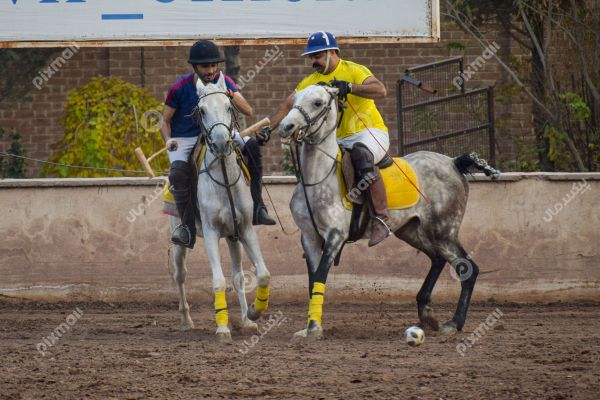 چوگان | نخستین همایش چوگان کرمان