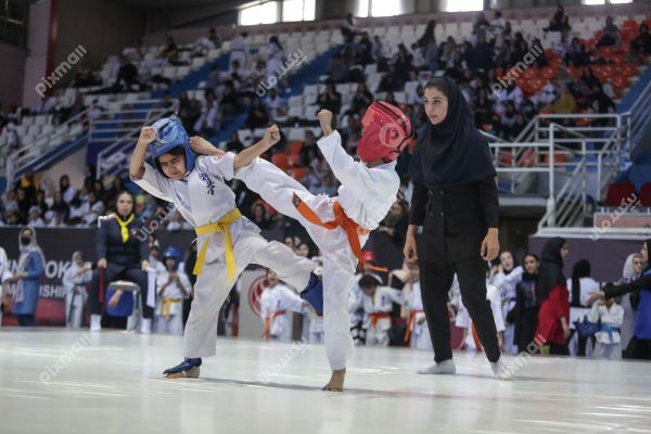 کاراته | مسابقات قهرمانی شین کیوکوشین بانوان - بخش دوم